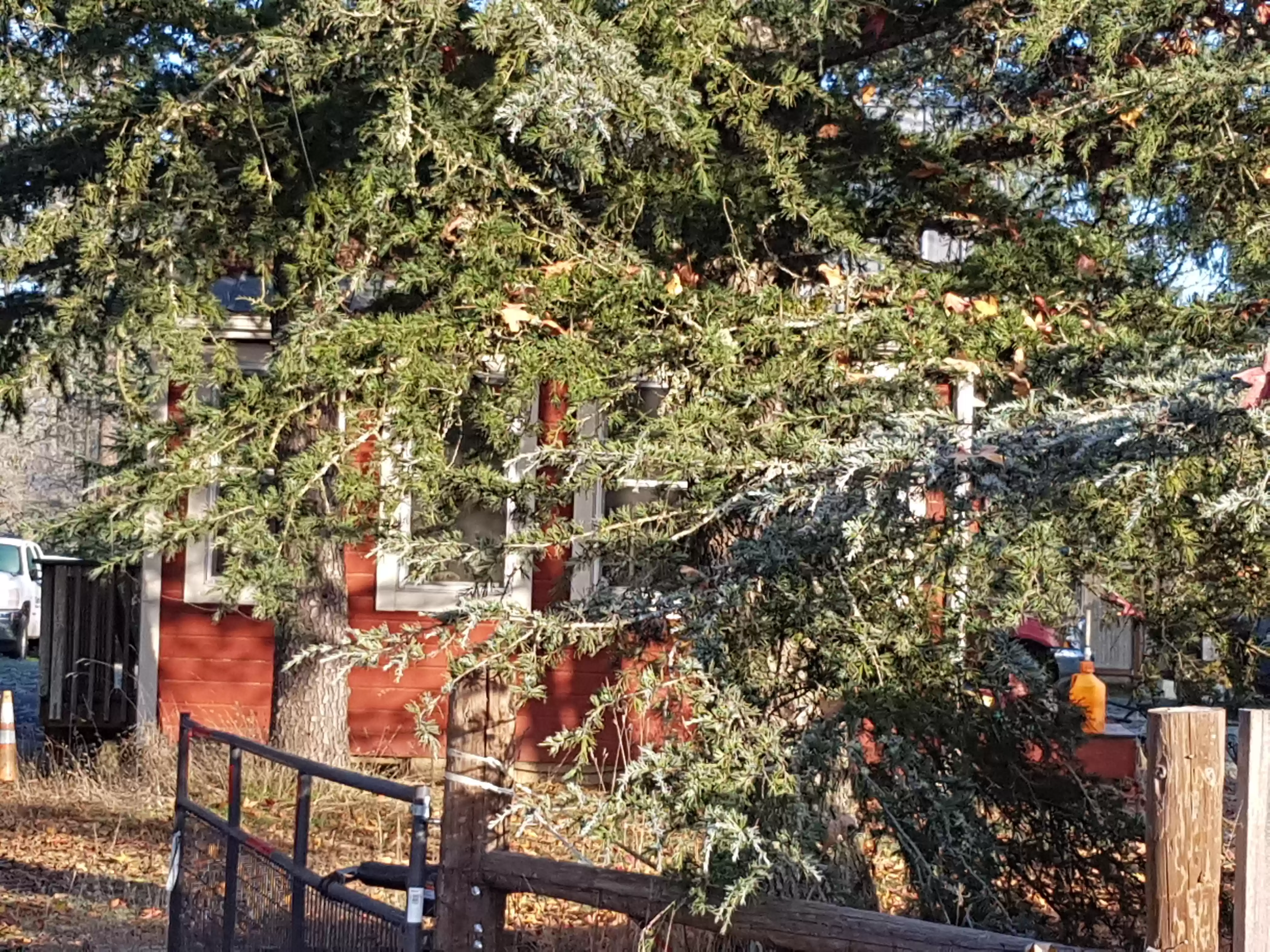 20171211_090035